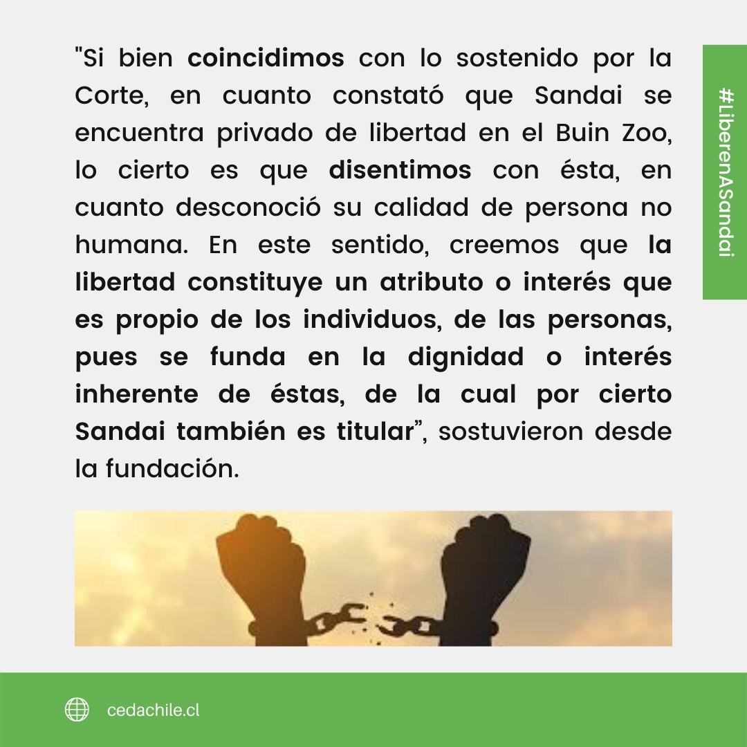 Fundación Justicia Interespecie tweet media