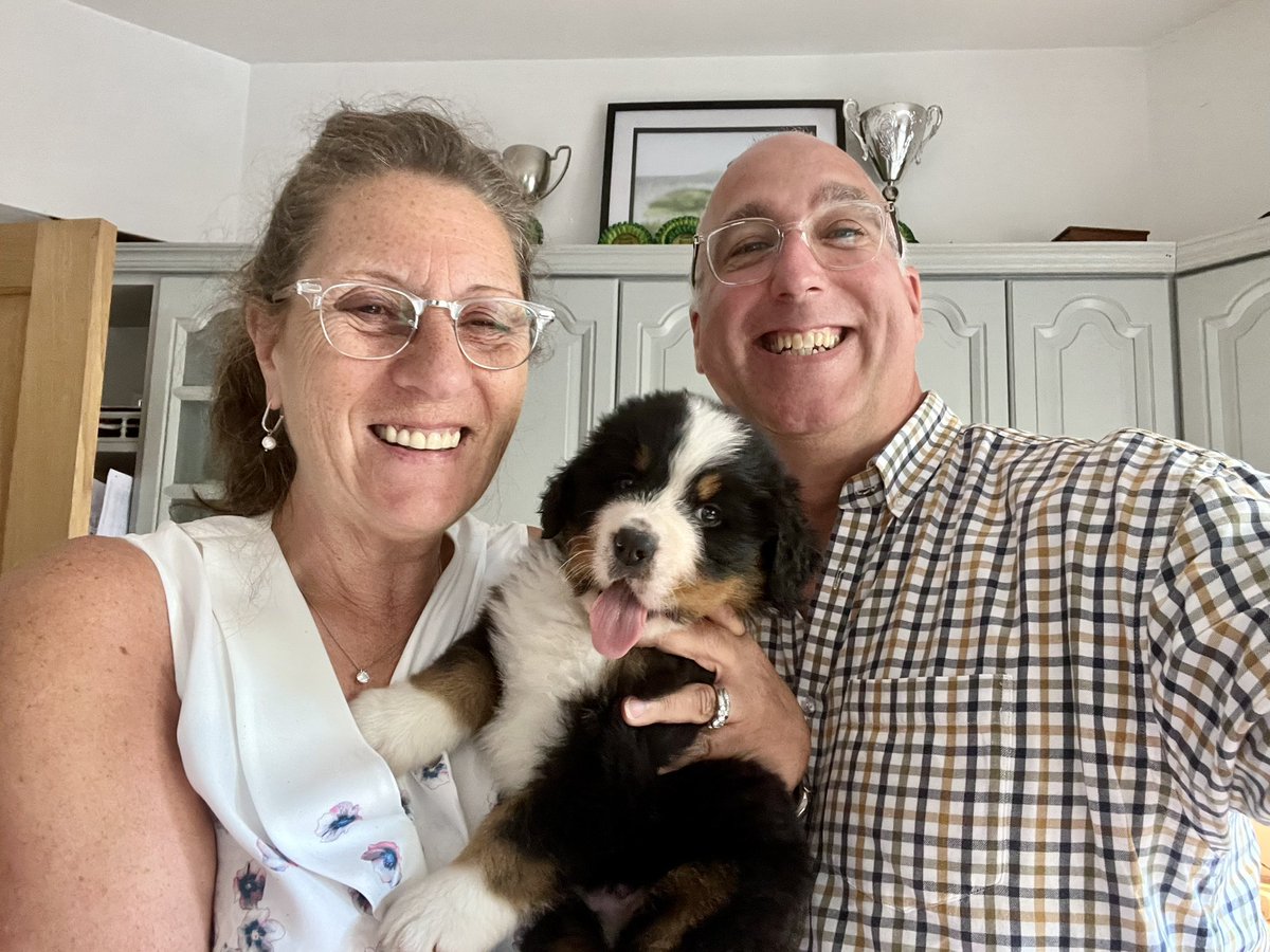 Meet Oscar. Arriving at #coveargyll in mid-September. Little brother to Winston and Dudley. Expect a deluge of cute photos to follow. <a href="/LadyofCoveHouse/">Lynn Cleal</a> #bernesemountaindog #puppy
