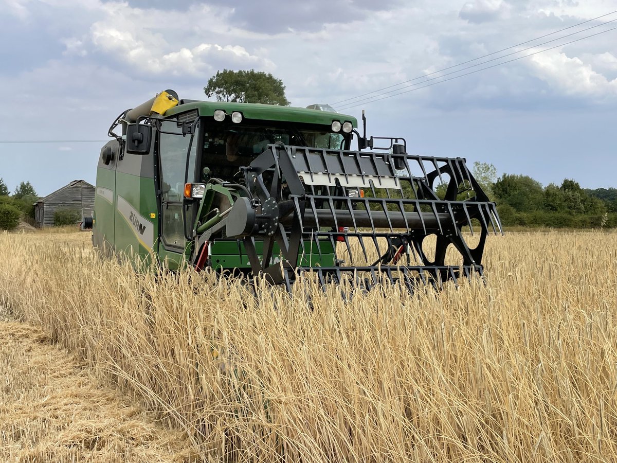 GeorgeDance99's tweet photo. Tall crop of Rye today for the demo Z160.
⁦@Zurn_Harvesting⁩ https://t.co/mGNROEXg3z