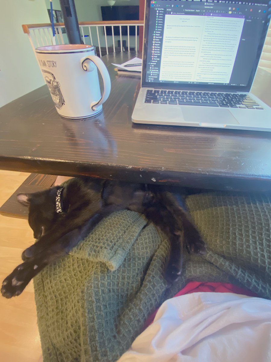 NotesSparks's tweet image. Meet Margot, my new best friend and the best butt-in-chair-insurance around. I mean, I could go change the laundry over, but I’m no monster.