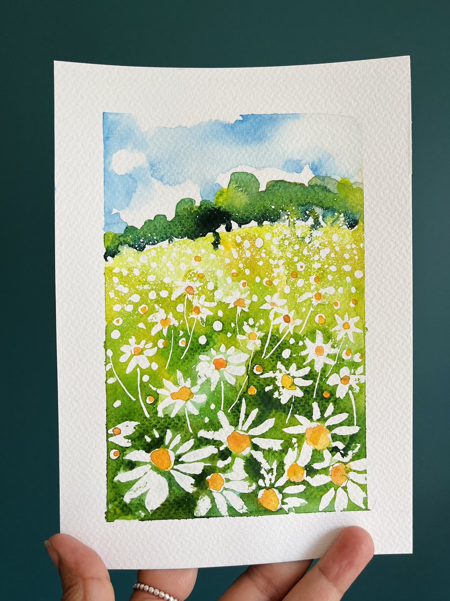 Last day of filming demos for my <a href="/skillshare/">Skillshare</a> class. Relieved this field of daisies turned out ok as masking fluid was very temperamental in the heat !! #watercolorart