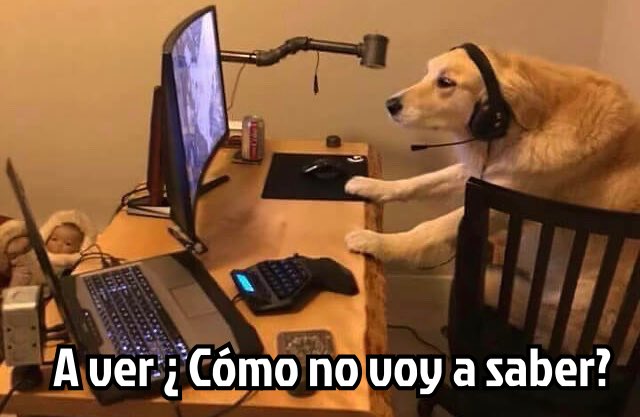 YouTube: "Top 5 de apagones más largos que no conoces."

Yo: