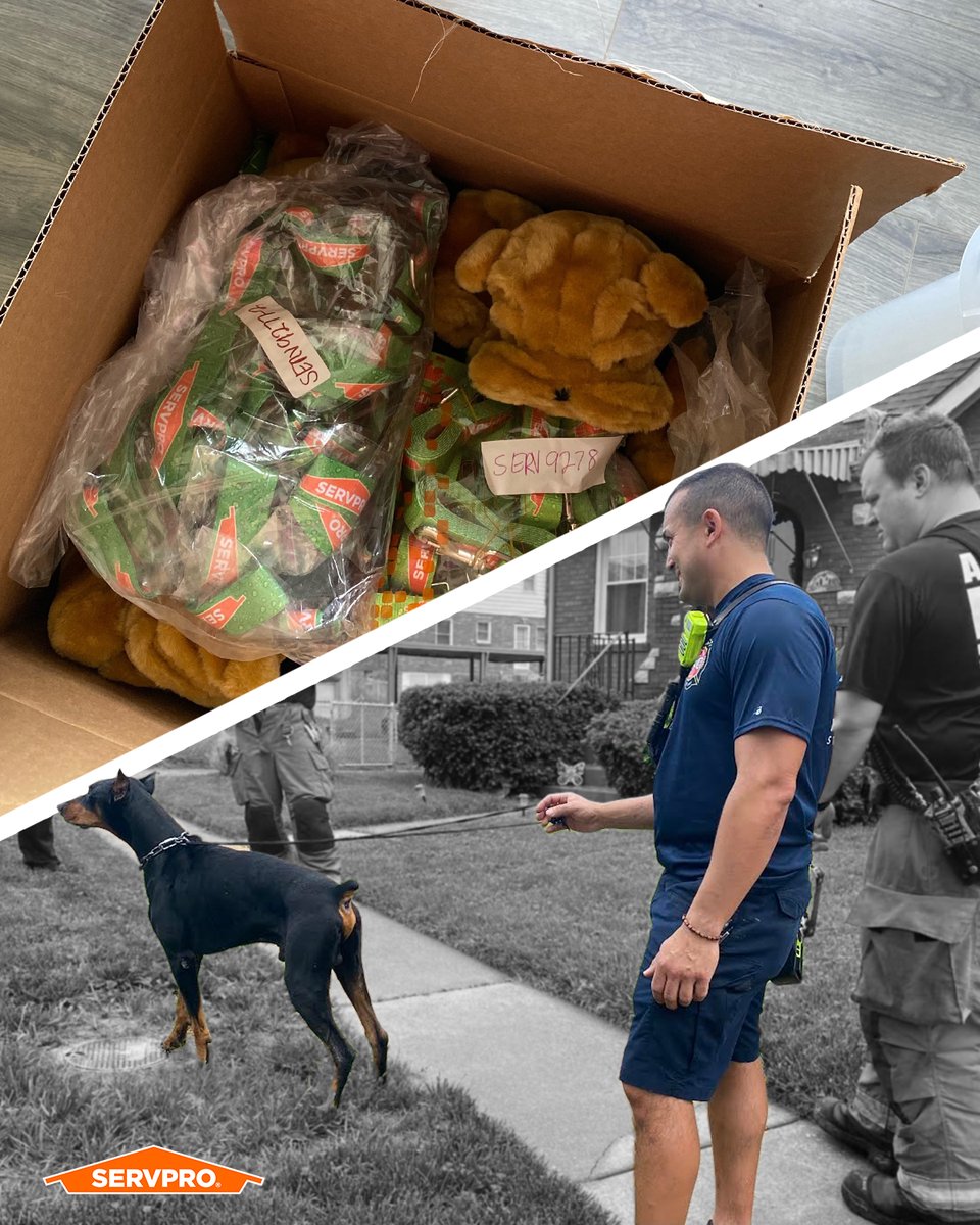 SERVPRO often works with fire departments on fire damages and board-ups. After learning their local fire department used a shoelace to secure a scared dog after a fire rescue, 
With 28 fire departments in their service area, they ordered hundreds of leashes and collars too!