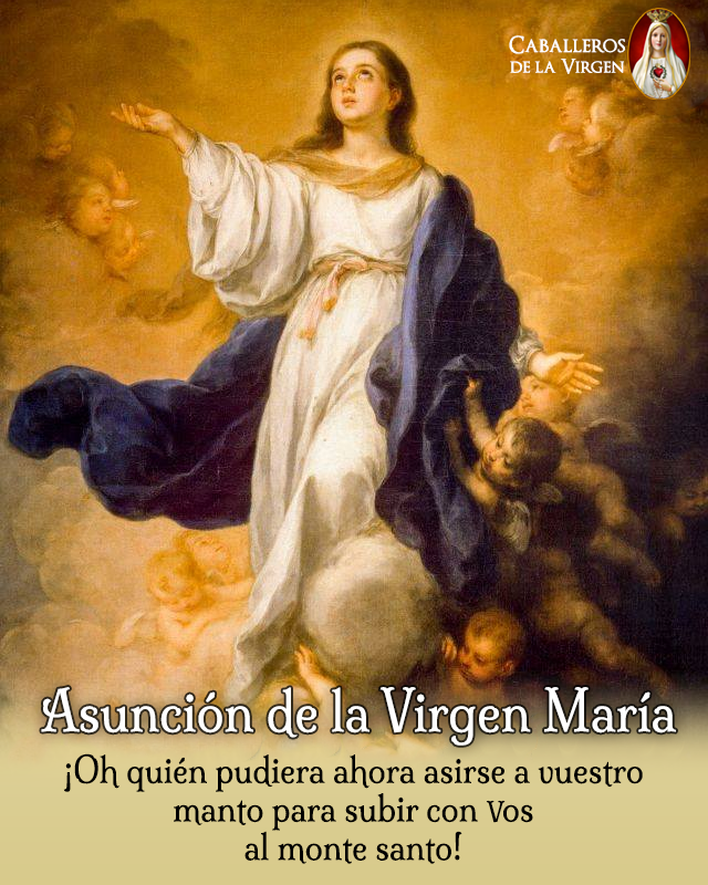 Caballeros de la Virgen tweet media
