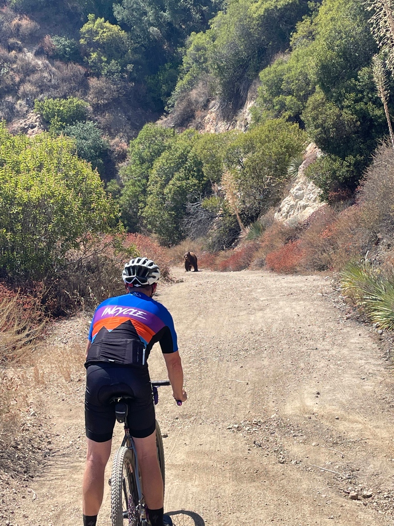 Incycle Bicycles tweet media