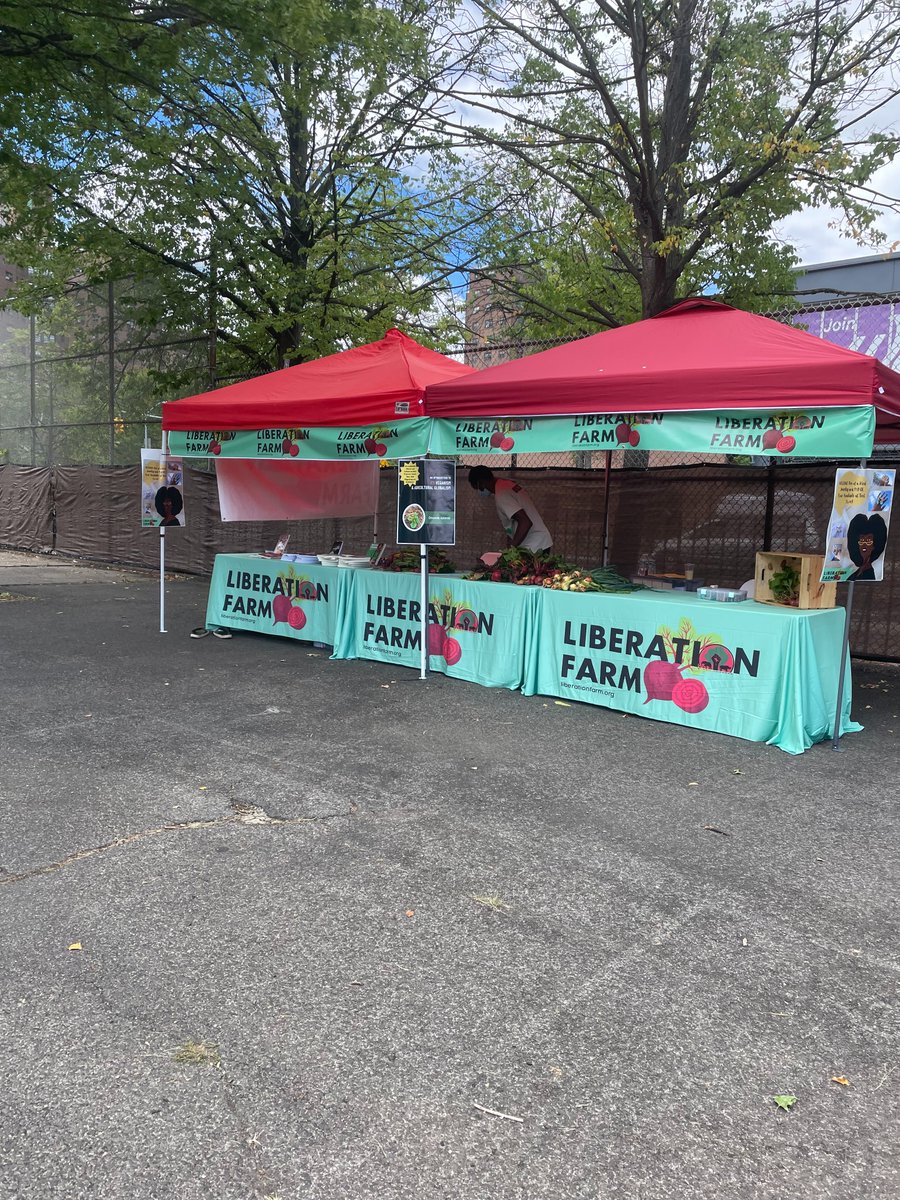 Lantern Publishing & Media tweet media