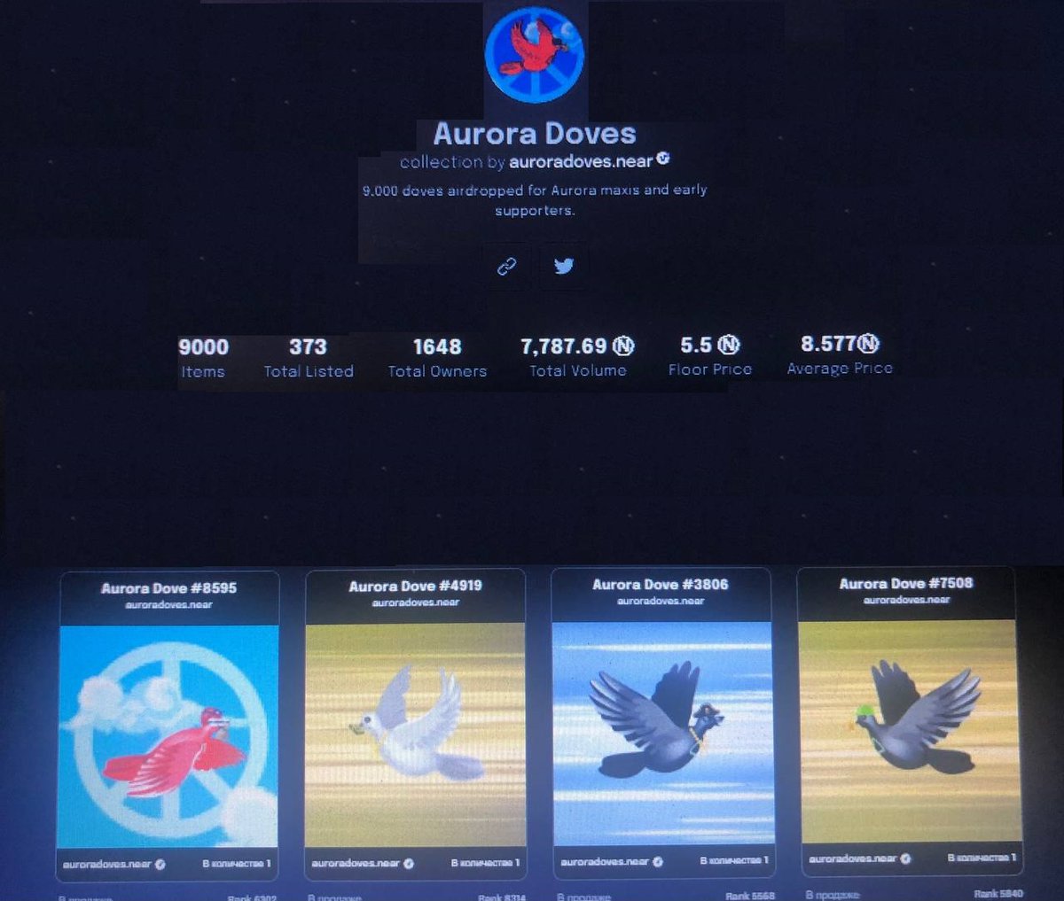 AuroraDoves tweet media