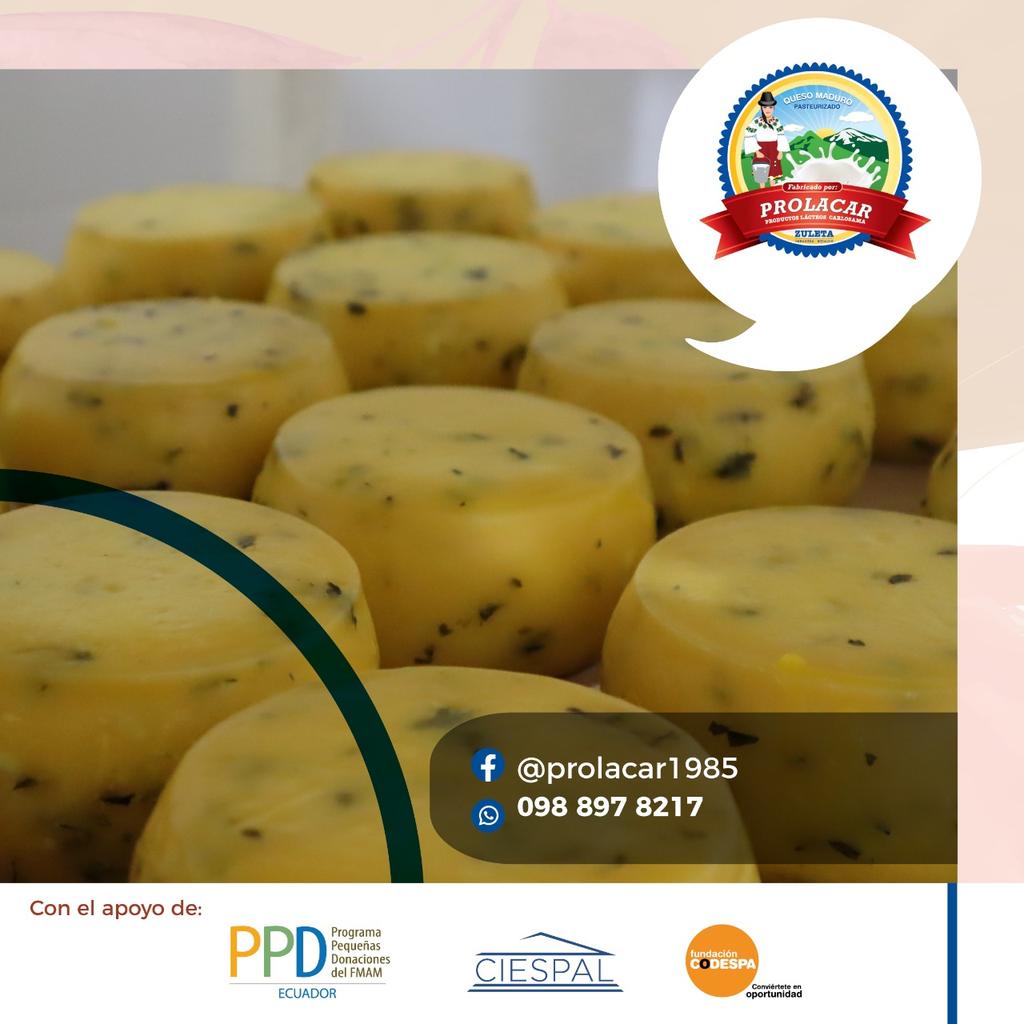 ciespal's tweet photo. En el marco del trabajo que realiza @PPDEcuador - @greencrowds y en el que apoya #CIESPAL y @CODESPA, los invitamos a conocer más sobre Prolacar, productos lácteos.

🗓️Jueves, 18 agosto 13h00, @EcuadorTV #MiPropioJefe

Contacto 👉0988978217 https://t.co/8idy3P3x8b
