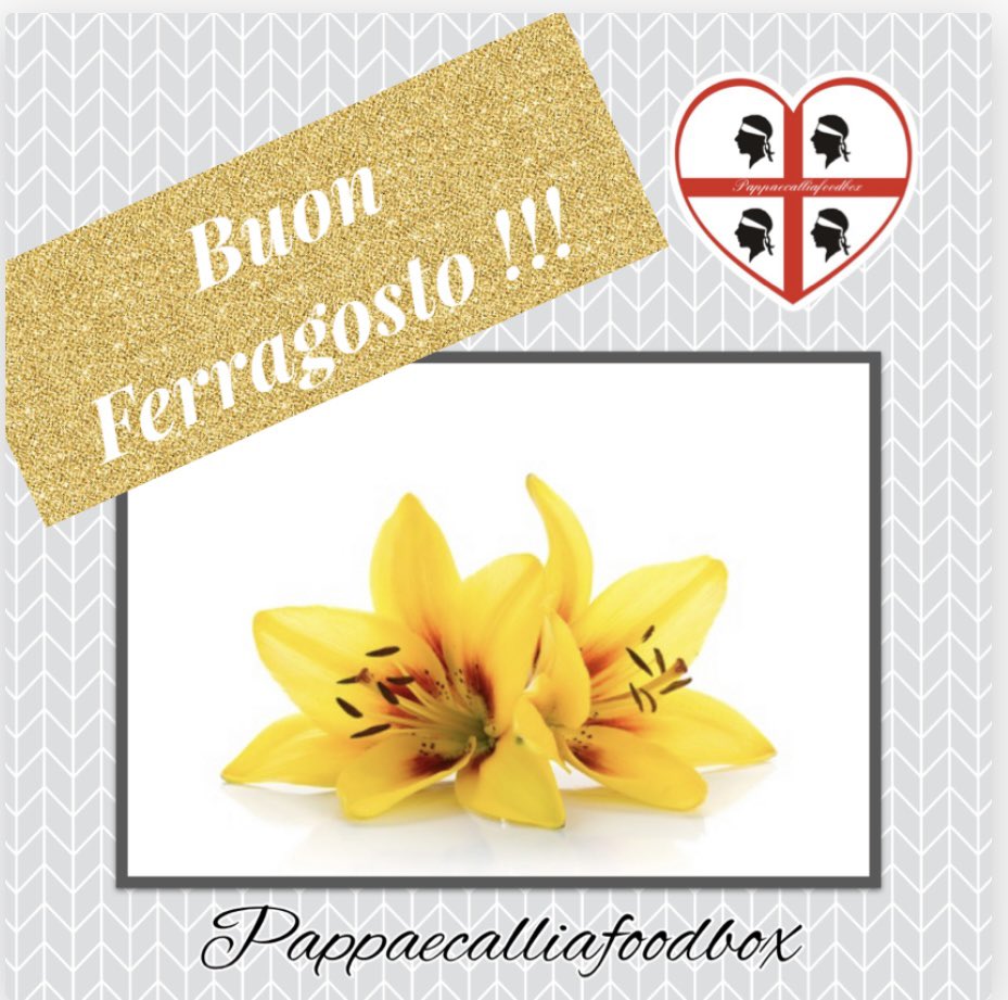 pappaecallia's tweet photo. ☀️ 🍉 Buon Ferragosto a tutti !!! 
Clienti e Amici , vicini e lontani ☀️🍉 

https://t.co/eqG3PkZ3jR 
#dorgali #Sardegna #Ferragosto #cibobuono #genuino https://t.co/1ehg4fz9TS