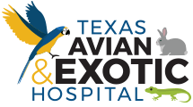 LafeberVet's tweet photo. Congratulations to Dr. Sharman Hoppes, the 2022 T.J. Lafeber Avian Practitioner of the Year https://t.co/3RAqgmOBId #avian #veterinarian #birds #TAMUVetMed  #ExoticsCon #ExoticsCon2022 https://t.co/qD113QKTK3