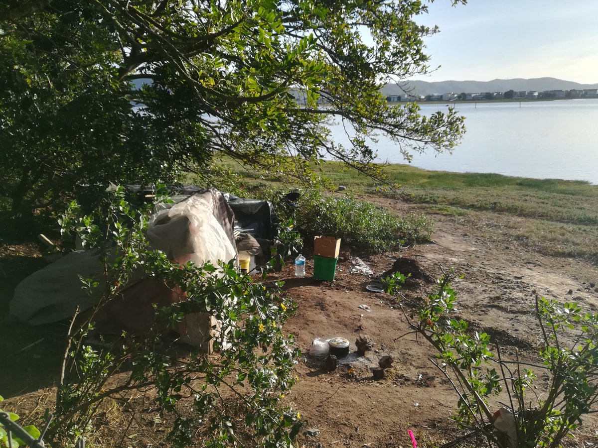 Stephan J Lamprecht tweet media