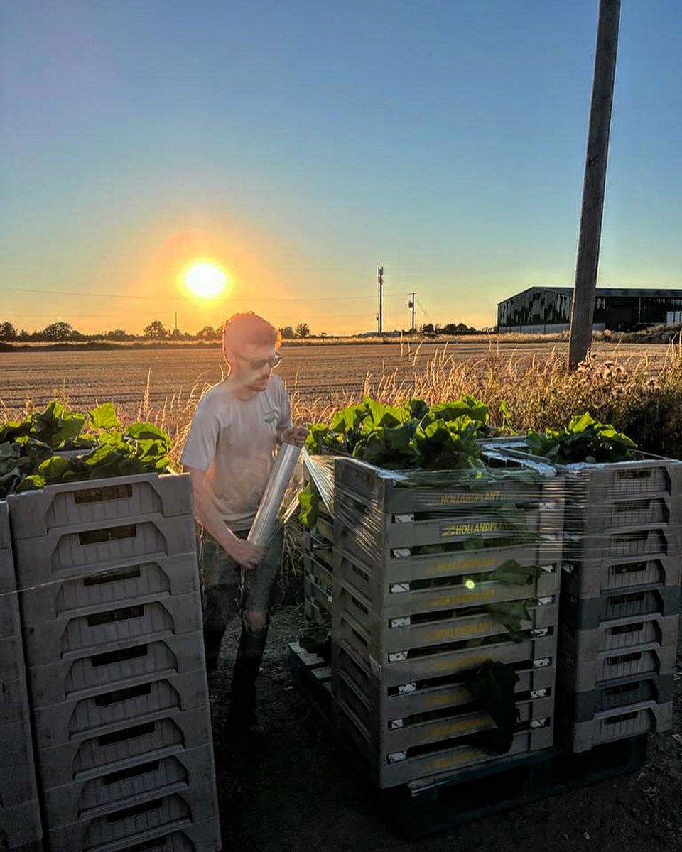 Welgro Produce tweet media