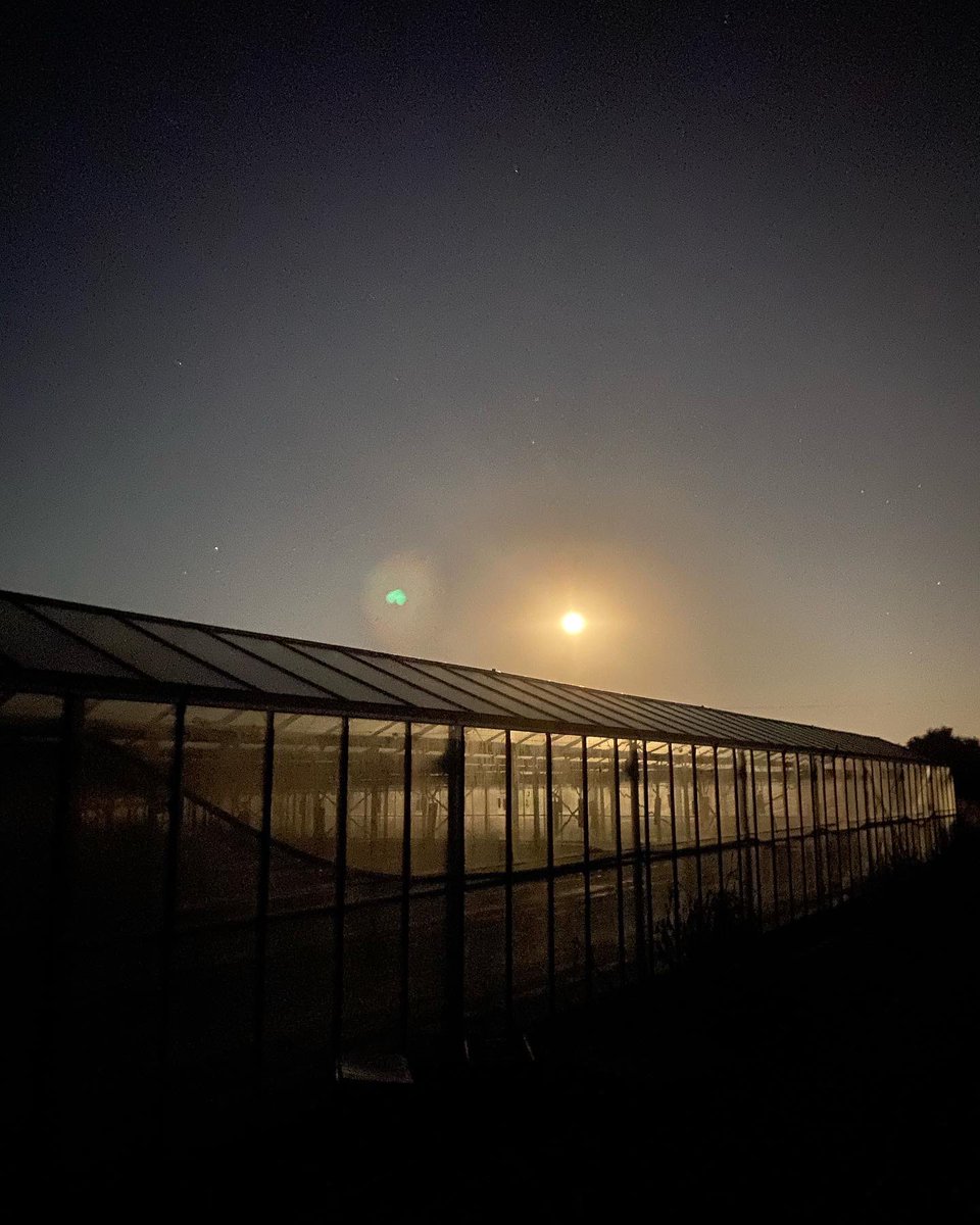 Welgro Produce tweet media