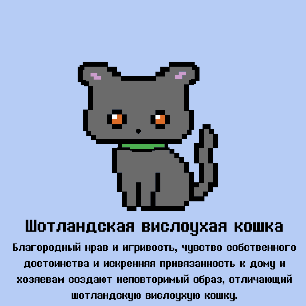 PixelCatsTON's tweet photo. #NFT #NFTCollection #NFTCommuntiy https://t.co/tb3ROHDNEy