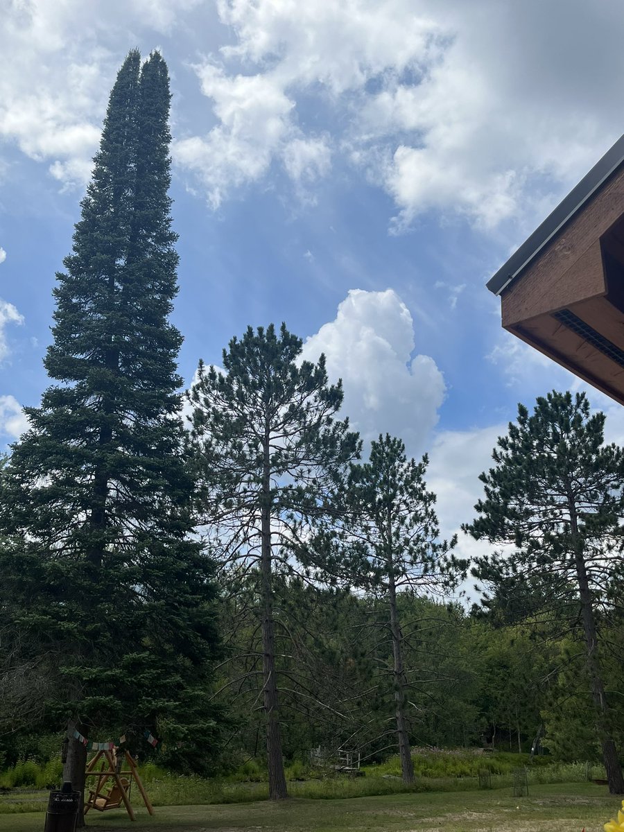 keel_mrs's tweet photo. Spectacular day up here…check out @PureMichigan cloud formation this afternoon! @joecharlevoix #NoMi 🌲 #cottageliving https://t.co/rk1gGOLS5Q