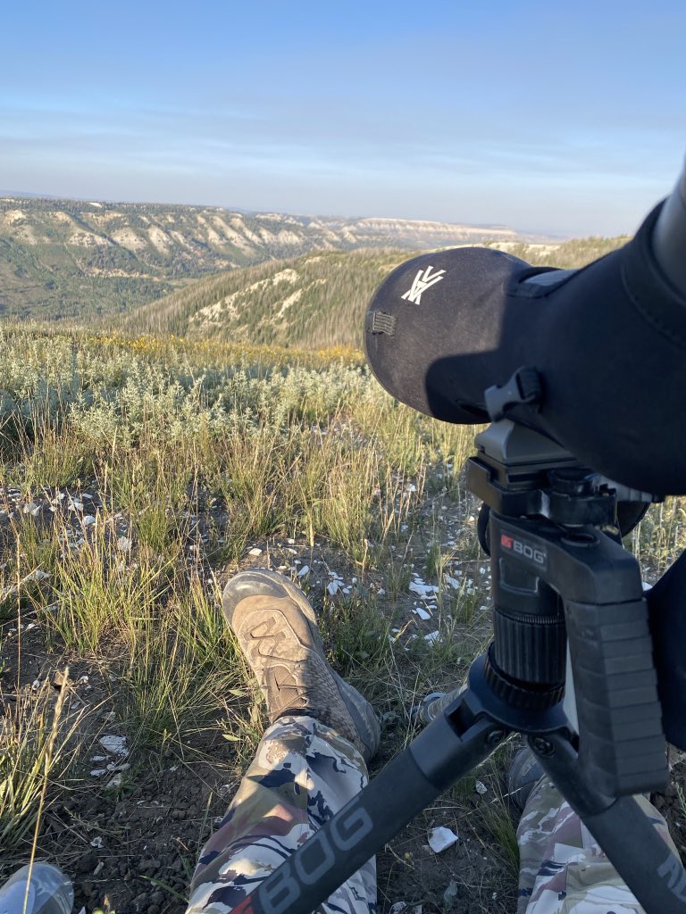 BeauKnows43's tweet photo. Hunting Season is almost here. No archery tags for me, but fired up to glass and hopefully pack out with my homies! #UnderArmour #AllGearNoDeer #Archery #Hunting #twitterlessjake @chapsy62 @tomjake13 https://t.co/jT9ydQHGBd