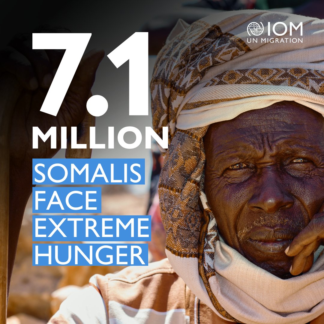 Somalia is on the brink of a humanitarian catastrophe due to drought. The time to act is now if we want to #AvertFamineinSomalia.

Donations will help us scale-up our life-saving assistance. 

Together we can do more: donate.iom.int/somalia-needs-…