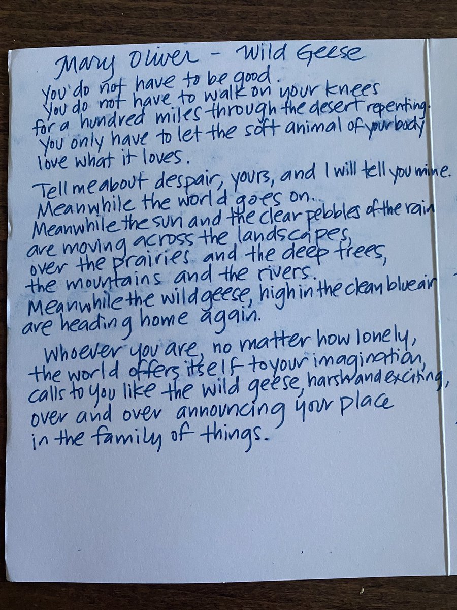 Came across this card last night - a good friend gave me the gift of words for my birthday this past spring. Thought I would share. 

With so much time spent outdoors in summer, it’s a great time to remember that we have so much to learn from nature around us. 

Happy Monday!
