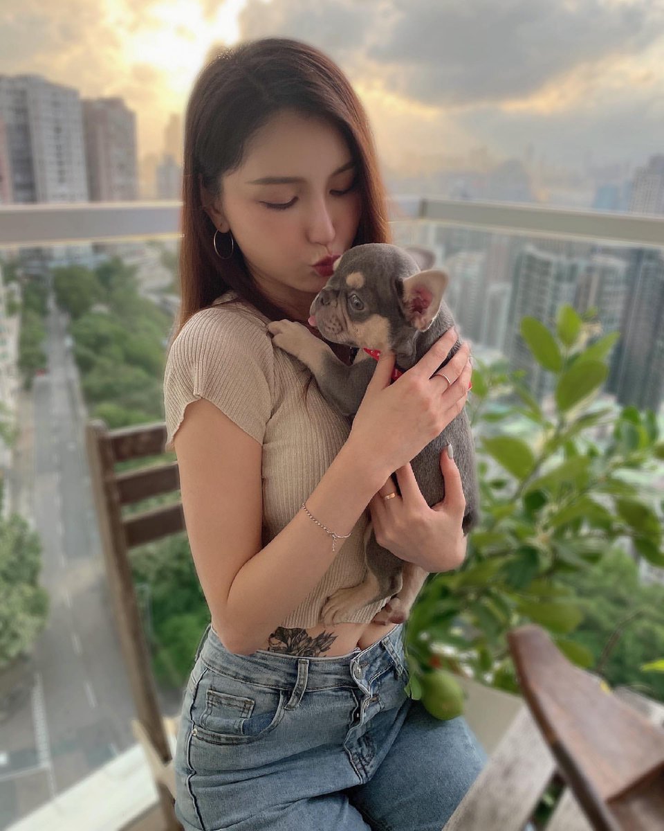 Linxi38910636's tweet photo. @Cute little dog https://t.co/CO5n8WkSxI
