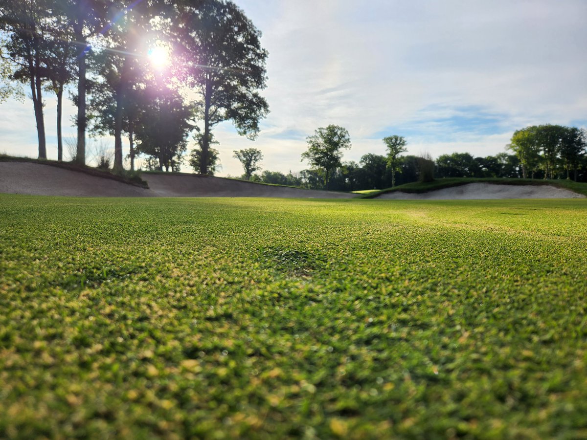 Unbelievable morning for the #USGA Amateur at Arcola.  Best of luck to all of those participating!
