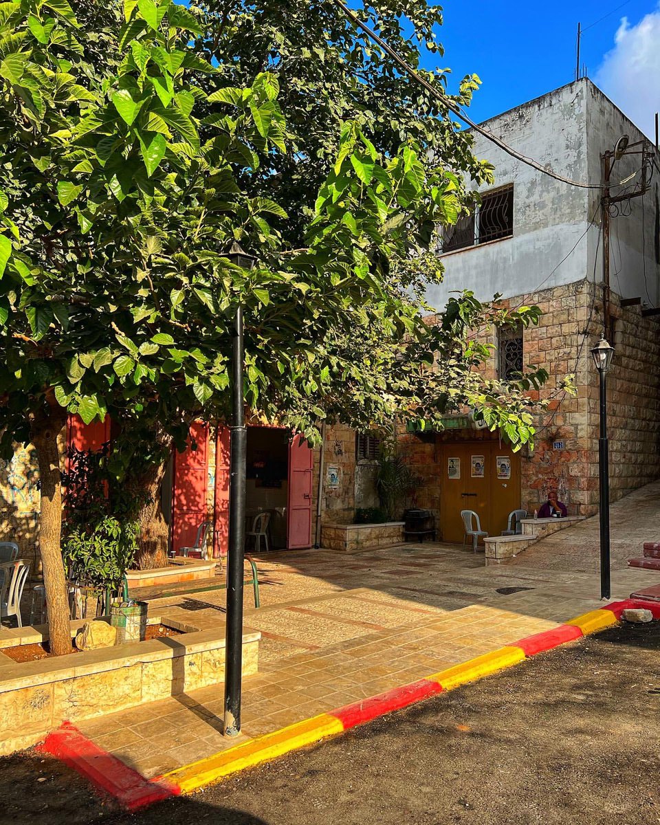 MuhammadSmiry's tweet photo. Palestine is beautiful ❤️ https://t.co/Dty0po6pMr