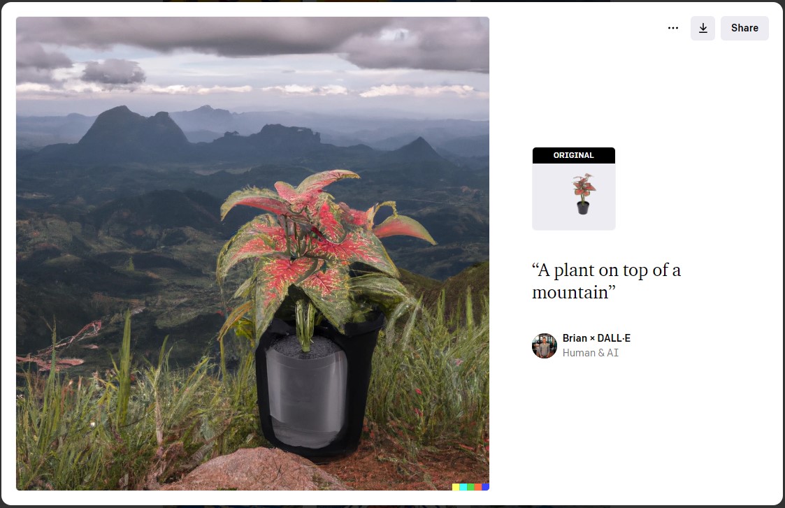 brian weet tweet media