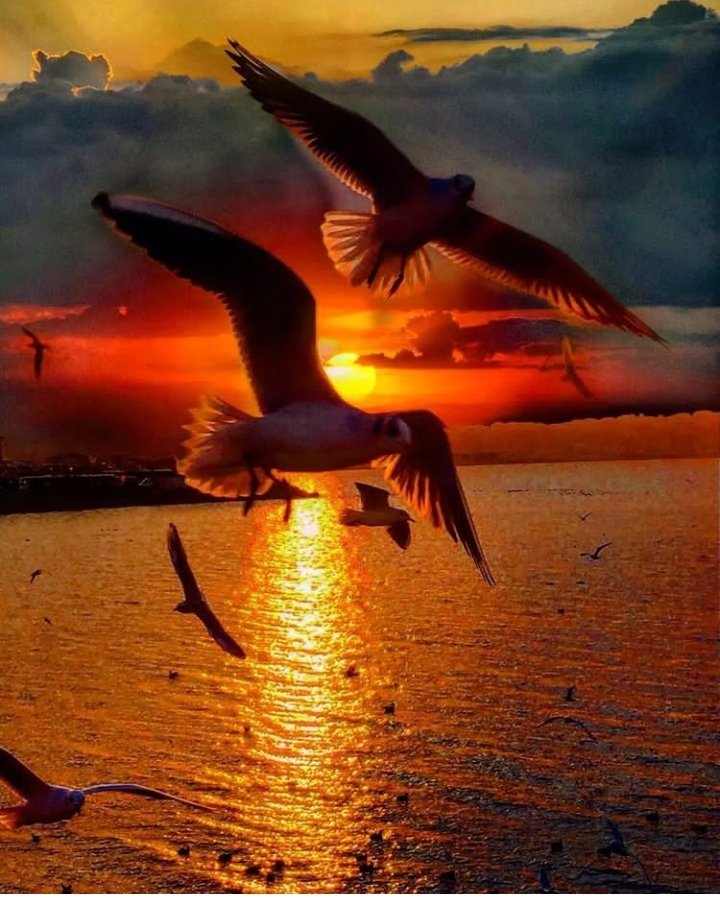 LumaFarasin's tweet photo. أمْطِرْ عَليّ سَحَابَ جُودِكَ ثَرّةً

وَانظُرْ إليّ برَحْمَةٍ لا أغْرَقُ https://t.co/8pQ0YE5Pox