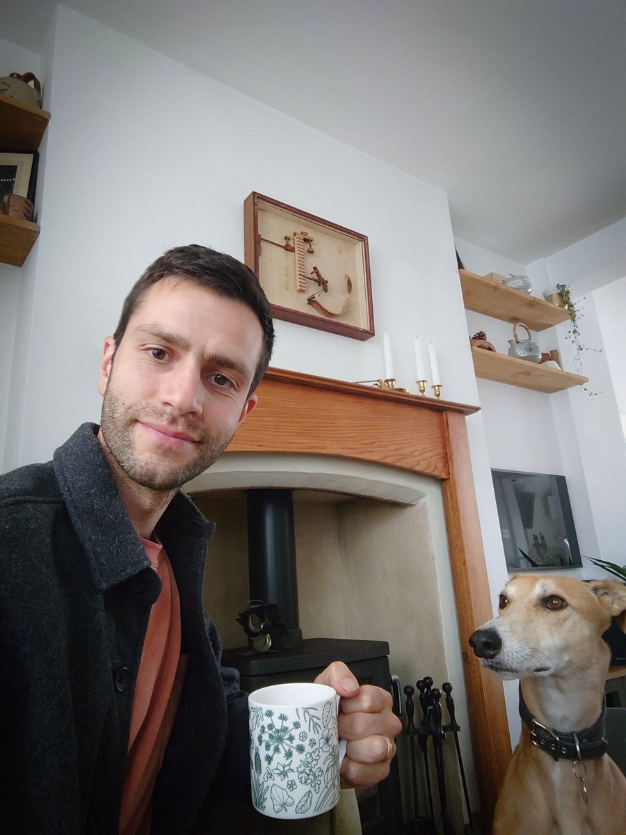 David Lisser tweet media