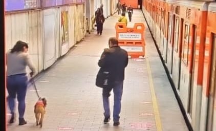 MetroCDMX's tweet photo. #AvisoMetro: Se normaliza el servicio en la Línea 2, después de realizar varios cortes de corriente para rescatar a un perrito en vías de la estación Tacuba. El avance de los trenes es continuo.  #MovilidadCDMX https://t.co/8BBM2AEncD