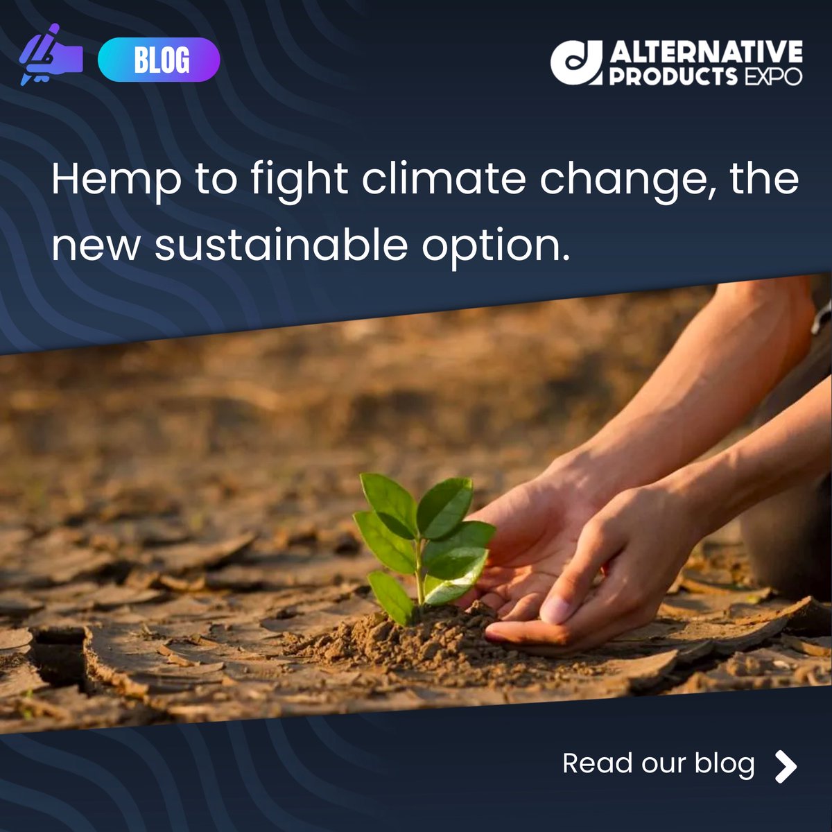 altproexpo's tweet photo. New article in our blog! Hemp tackling climate change, the new sustainable option.
Read our blog using the link below!
https://t.co/jXMM46mYKI
#blog #blogger #cbdblog #cbdlifestyle #cannabiscommunity #bloggerstyle #blogging #bloggerlife #blogpost #influencer #education https://t.co/ab4l6BqjPa