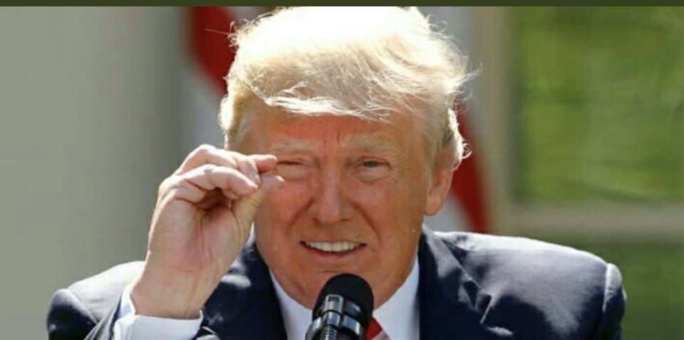 ftn_irish's tweet photo. @CDub1974NC @jeremynewberger @RonFilipkowski This is tRump’s response when asked, “What is the size of your penis?”🤏😳 https://t.co/y5f66v9QIC