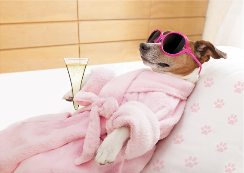 mallatbayplaza's tweet photo. Celebrate National Relaxation Day! One of the best ways to 'treat yo self' is by shopping and getting lunch here at Mall at Bay Plaza.

#mallatbayplaza #bronxmall #bronxnewyork #bronxny #bronxstrong #bronxstyle #treat #treatyoself #relax #nationalrelaxationday #spaday https://t.co/hde398dBGE