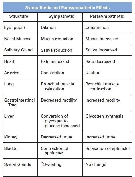 medictests's tweet photo. Sympathetic and Parasympathetic Effects on the Body! https://t.co/R8pmqtAqnc
