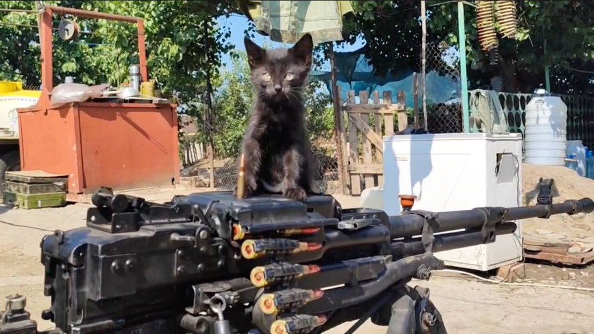 Vitaleksys's tweet photo. Командир пулемётного расчёта с позывным "Суровый"💪😾 https://t.co/LPSiIPeF7K