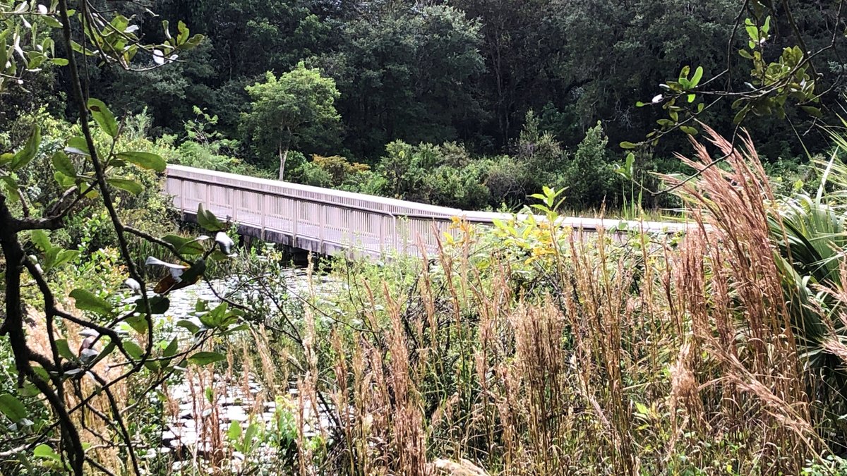 BrowardParks's tweet photo. National Trails Day at #LongKey! Earn a Trails Day pin for hiking a trail and sharing a highlight with parks staff! 9AM-5PM. Or join us from 7-9PM for a Sunset Adventure Hike through areas not usually open to the public. $10/person. Call 954-357-8797 to reserve your spot! https://t.co/hIyH4CtaSa