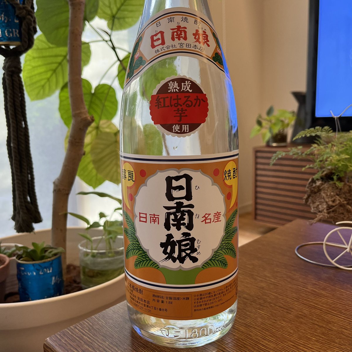 長期貯蔵 本格芋焼酎 日南娘 新聞巻-