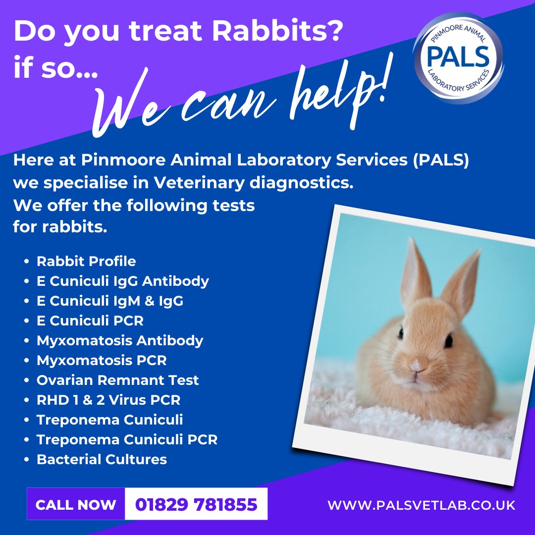 palsvetlab's tweet photo. 🔷 PALS are specialists in Exotic Veterinary Diagnostics. We understand the needs of Rabbits. 
Please call for more information Tel: 01829 781855 or Visit: https://t.co/bq2Kya16v7
#rabbithealth #rabbitwelfare #animalcare #pets #animalhealth #veterinarydiagnostics #veterinary #vet https://t.co/s746XJFk67