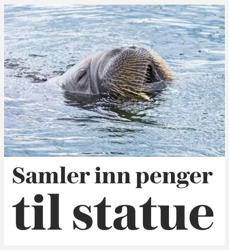 espenlg's tweet photo. Kjære vene 😬 https://t.co/focZOjI9ig