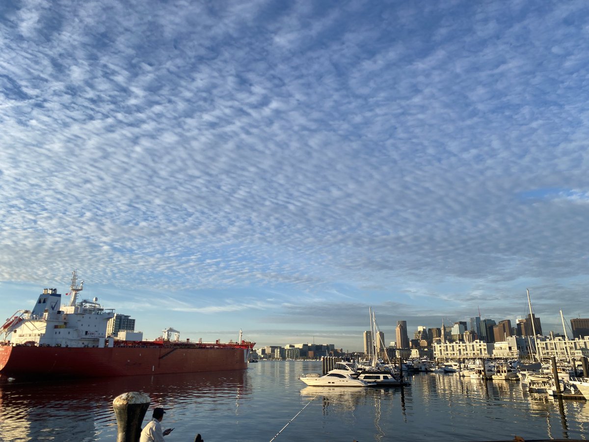 Chloe Ryan tweet media