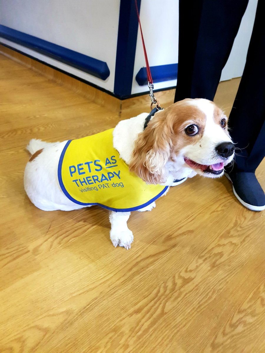 Kostas Eleftheriadis tweet media