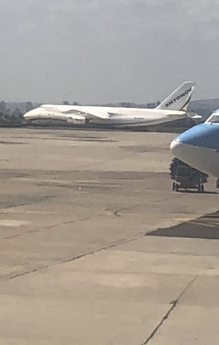 Mark Walker tweet media