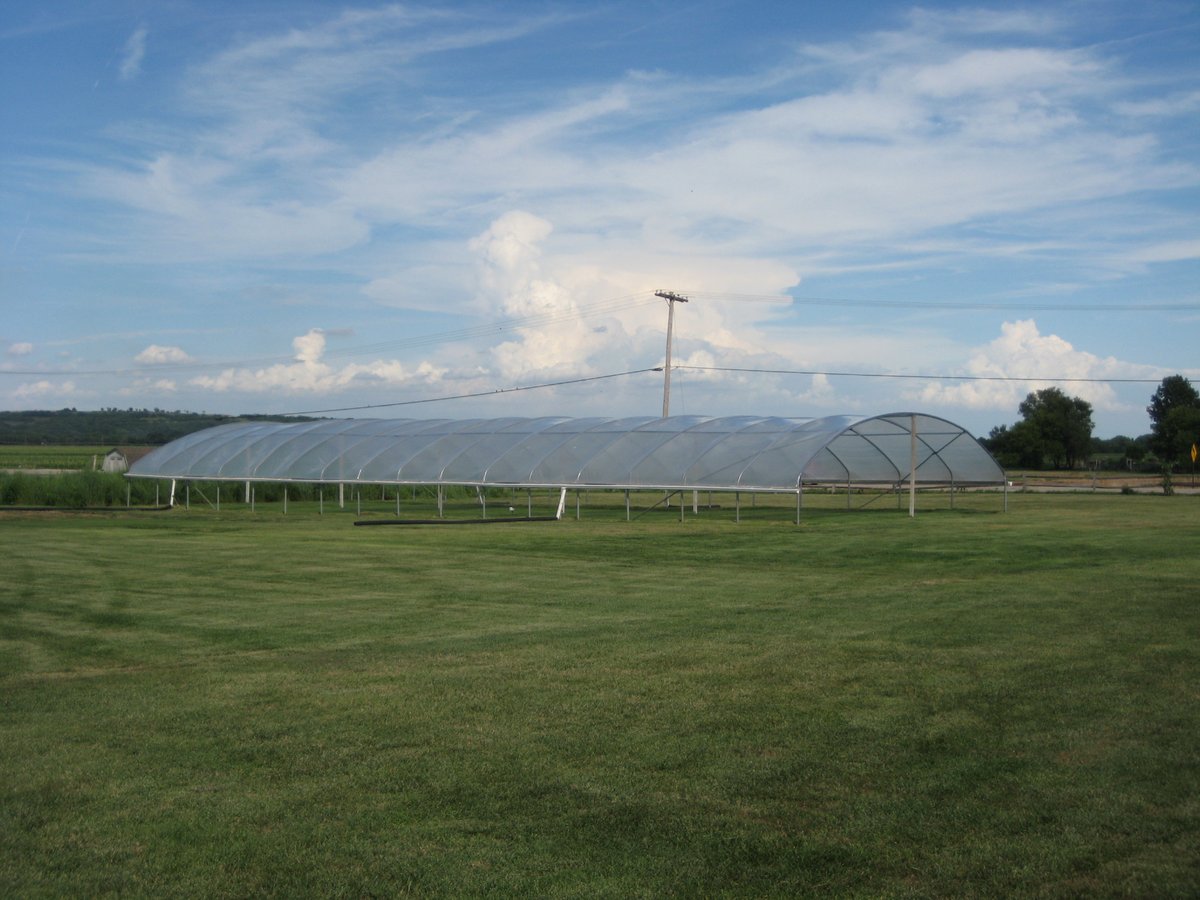crop_science's tweet photo. Check out this recently published @crop_science review investigating the history of drought resistance among cool-season #turfgrasses!

@KSUTURF @KStateHNR @PurdueHortLA @UMassAmherst 
@Ross_Braun @djbremer1

Links in comments
Scott Ebdon @jfry6035 @PurdueTurfDoc https://t.co/YIpoJR99WC
