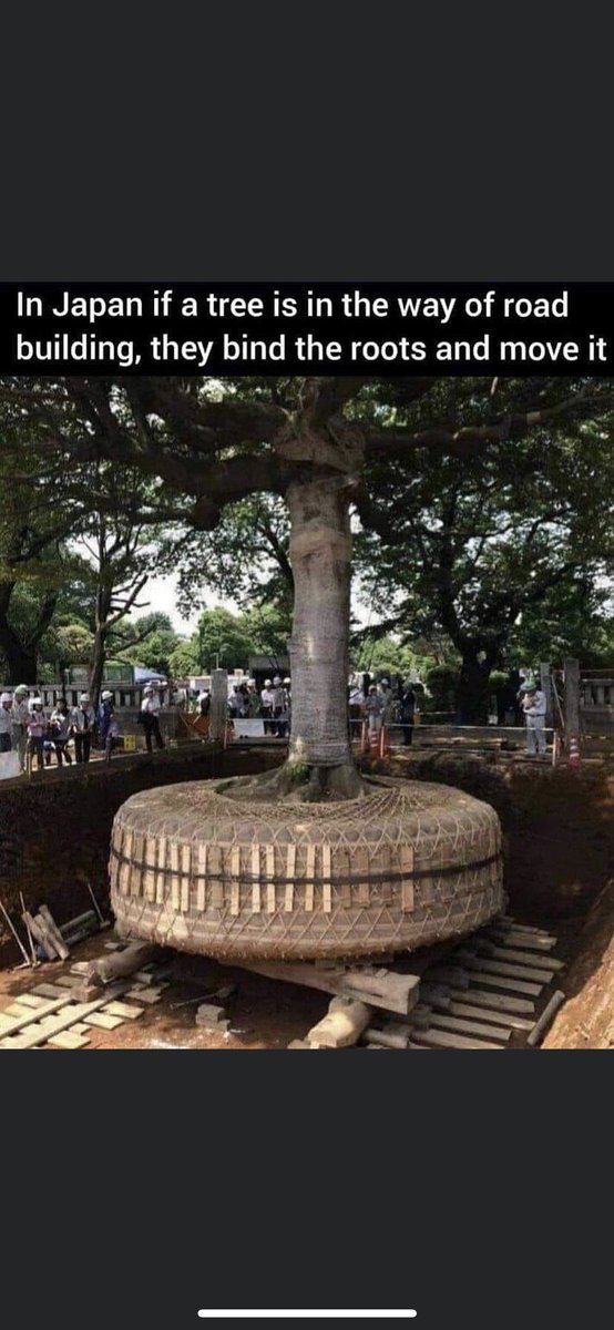 Why are we so destructive?