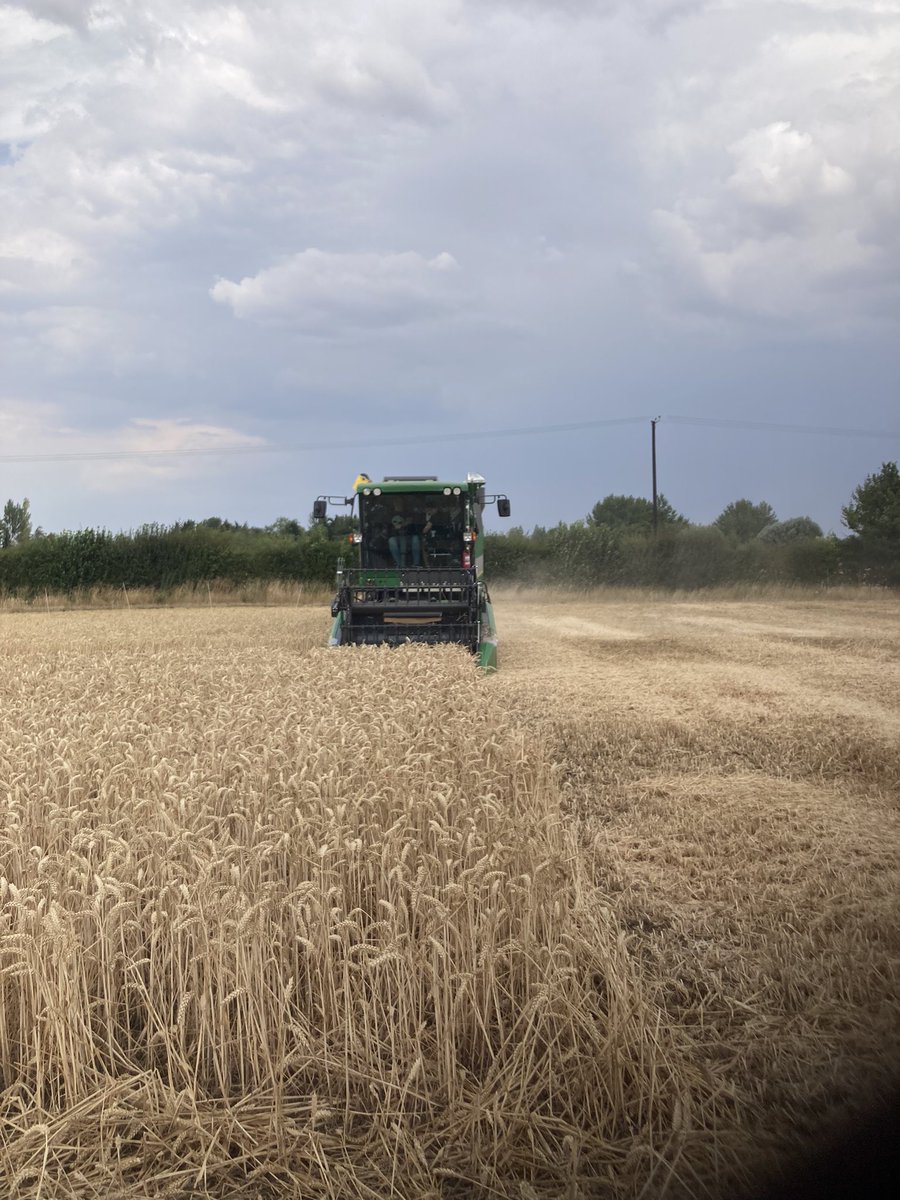 Amy King tweet media