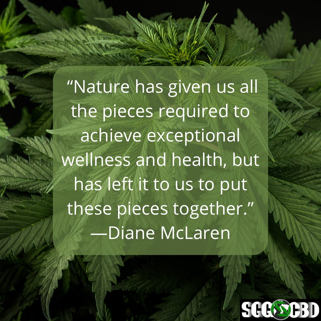 sgg_cbd's tweet image. In plants we trust 🌱💯￼

sggcbd.co.uk

#cbduk #cbd #cbduser #cbdhealth #cbdproducts #cbdeducation #cbdcommunity #cbdwellness #cbdshopuk #cbdselfcare #cbdmovement #cbdlife #cbdoil #cbdgummies #cbdbalm #cbdvape #cannabidiol #cbdanxiety #cbdheals #cbdhealth #cbdhelps