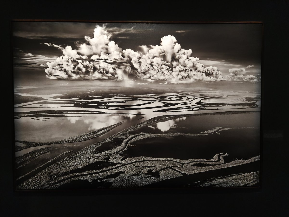 alice.fassoni tweet media