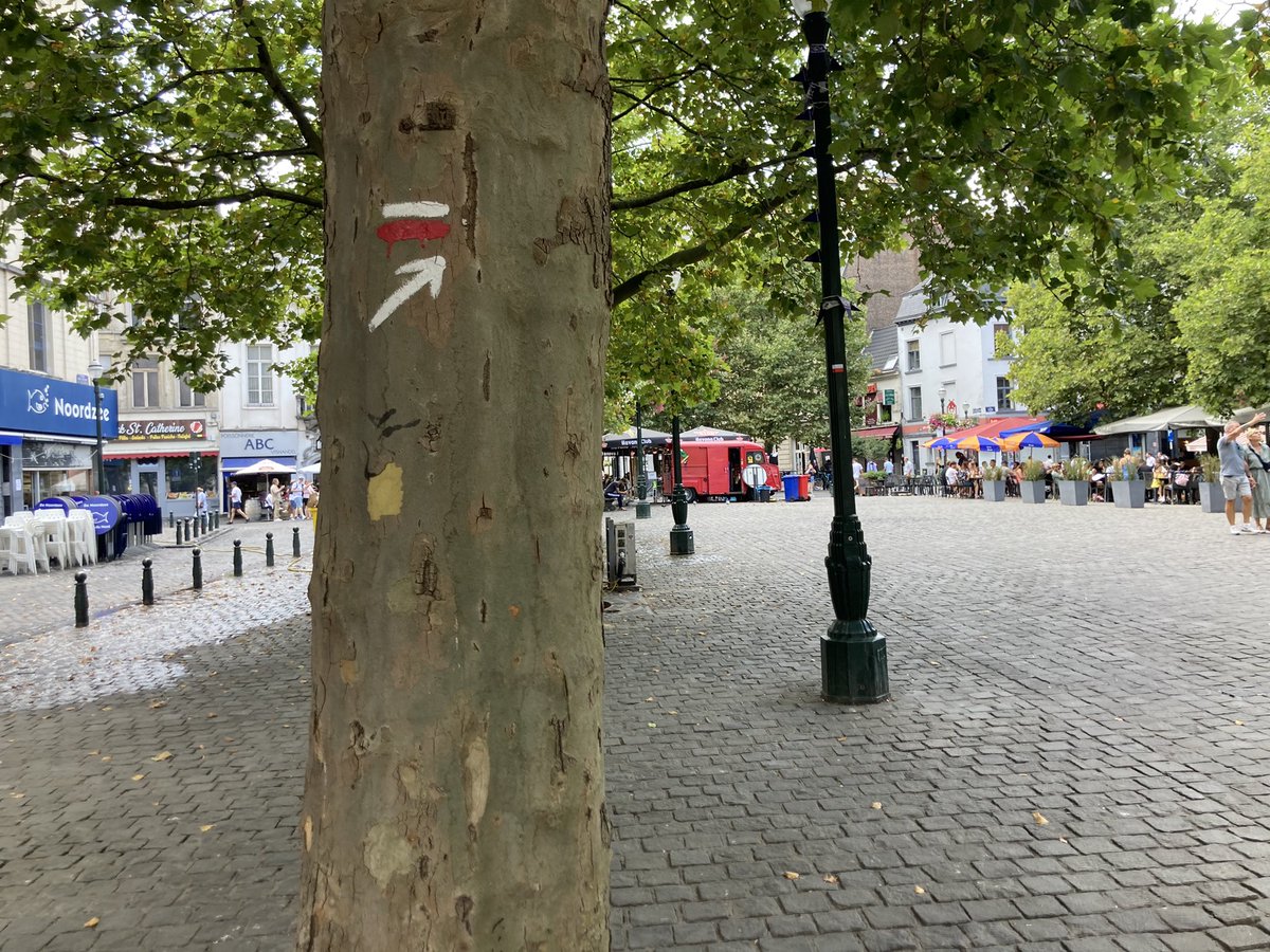 euro_tour's tweet image. ブリュッセル(ベルギー)。
本日の風景より⑤
聖カトリーヌ教会。興味深かったのは、教会前の広場に巡礼路を示す赤と白のマークを見つけたこと。
教会内に聖ヤコブ像がありました。
スペイン、サンティアゴ・デ・コンポステーラへ向かう巡礼路のひとつのポイントでした。