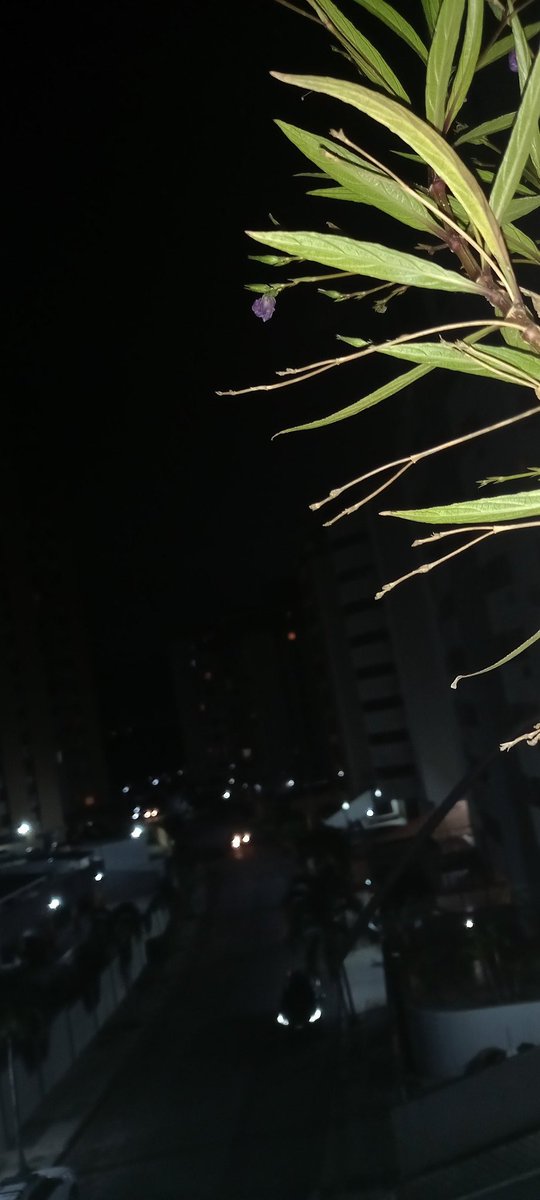 gioburgos's tweet photo. #Lunesfotero 
Sé abrigo de mis lunas 
en la noche desierta 
y gózame con las pestañas
despiertas.

Cuida el destino 
de mis tibios planetas,
esos que reposan 
fragantes en la nuca
donde se aquieta la luz.

Soy nido en conticinio
dando asilo
al oscuro temblor
de tus mares bravíos. https://t.co/oLNjcDGA1X