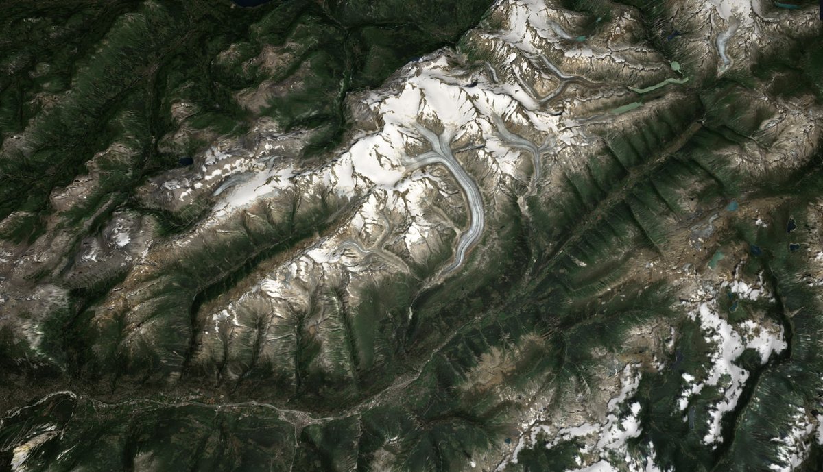 Alpenweerman's tweet photo. Het #Oberwallis en (Ober)goms vanuit de ruimte gezien (Sentinel-2, juli 22). Mooi te zien ook (ingezoomd) hoe de Grosse Aletschfirn, de Jungfraufirn en Ewigschneefeld zich verenigen bij de #Konkordiaplatz en vanaf daar de  #Aletschgletsjer vormen. Rechts ervan de Fieschergletsjer https://t.co/9A1IvC9qnT
