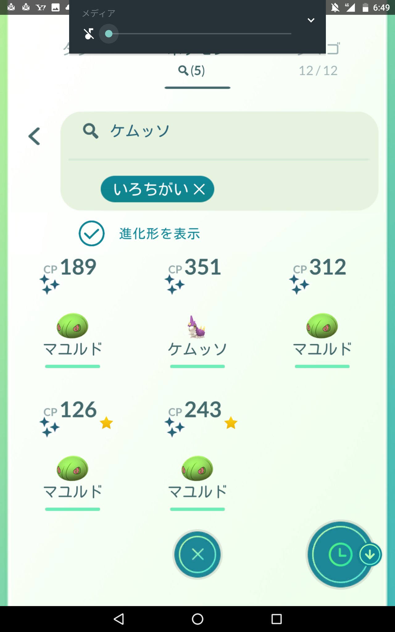 マユルド色違い Twitter Search Twitter